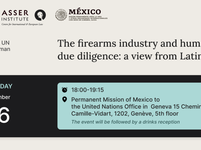 The firearms industry and human rights due diligence: a view from Latin America – Side event at the UN Business and Human Rights Forum